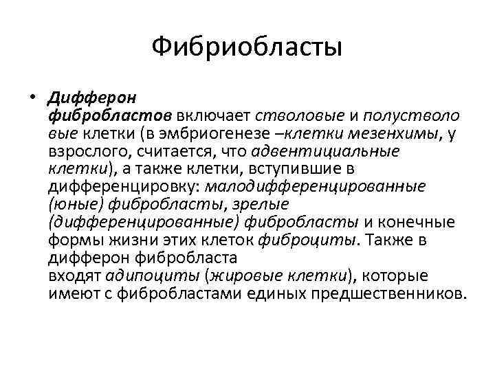 Фибриобласты • Дифферон фибробластов включает стволовые и полустволо вые клетки (в эмбриогенезе –клетки мезенхимы,