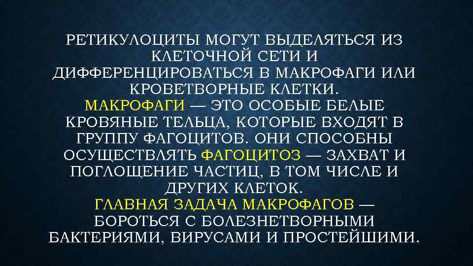 РЕТИКУЛОЦИТЫ МОГУТ ВЫДЕЛЯТЬСЯ ИЗ КЛЕТОЧНОЙ СЕТИ И ДИФФЕРЕНЦИРОВАТЬСЯ В МАКРОФАГИ ИЛИ КРОВЕТВОРНЫЕ КЛЕТКИ. МАКРОФАГИ