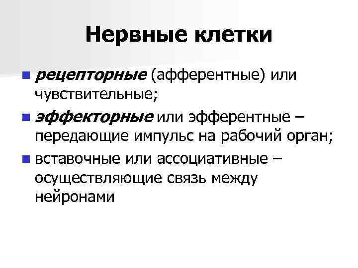 Нервные клетки n рецепторные (афферентные) или чувствительные; n эффекторные или эфферентные – передающие импульс