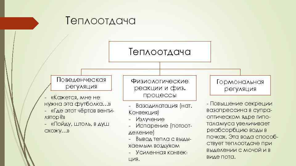 Теплоотдача Поведенческая регуляция - «Кажется, мне не нужна эта футболка…» - «Где этот чёртов