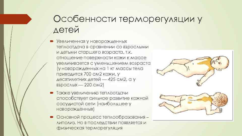 Особенности терморегуляции у детей Увеличенная у новорожденных теплоотдача в сравнении со взрослыми и детьми