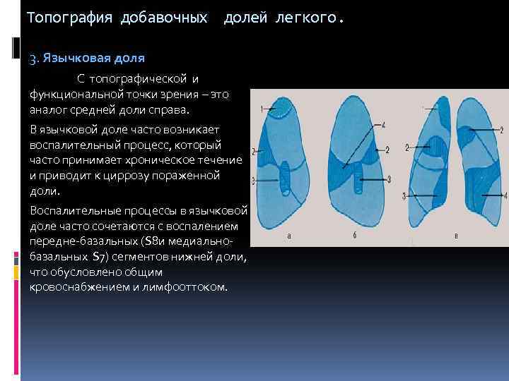 Функциональная точка зрения