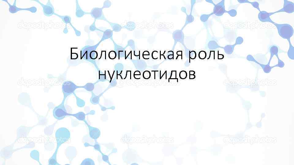 Биологическая роль нуклеотидов 