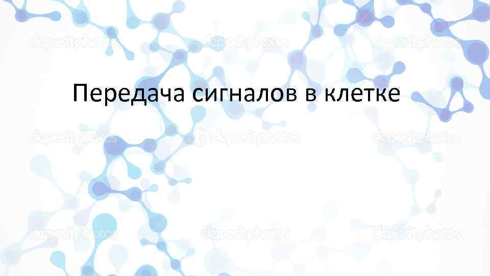 Передача сигналов в клетке 