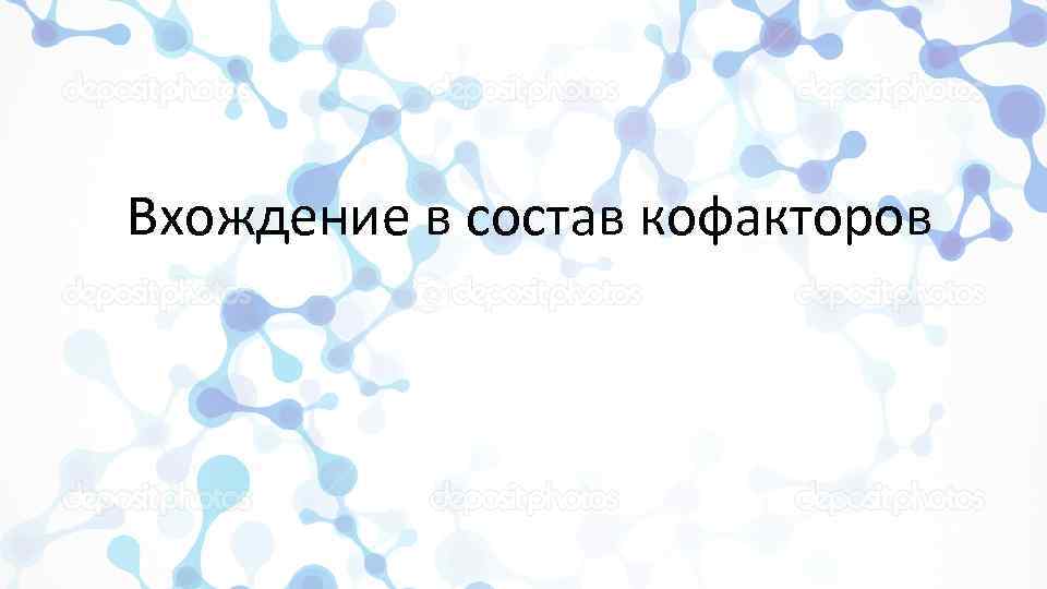 Вхождение в состав кофакторов 