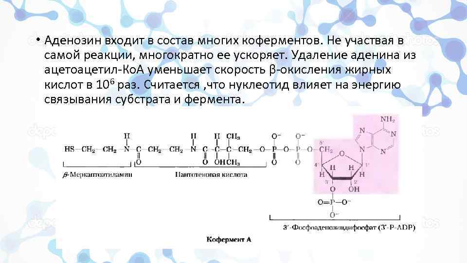 Реакция самое. Аденозин биологическая роль. Аденозин функции. Аденозин гормон. В состав аденозина входят.