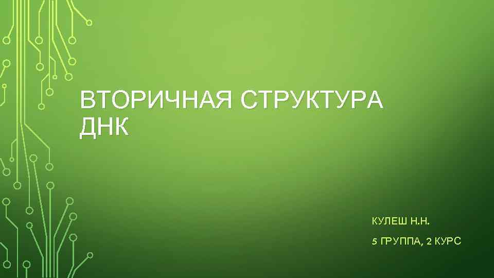 ВТОРИЧНАЯ СТРУКТУРА ДНК КУЛЕШ Н. Н. 5 ГРУППА, 2 КУРС 