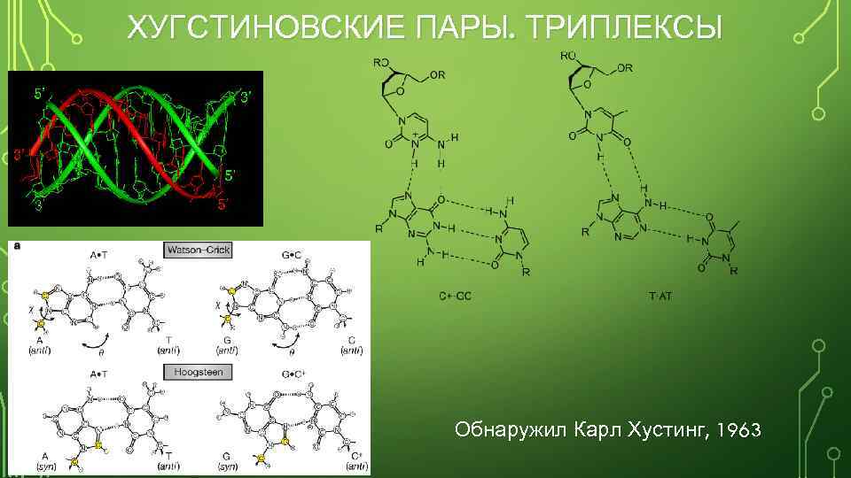 ХУГСТИНОВСКИЕ ПАРЫ. ТРИПЛЕКСЫ Обнаружил Карл Хустинг, 1963 