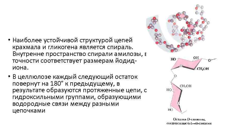  • Наиболее устойчивой структурой цепей крахмала и гликогена является спираль. Внутренне пространство спирали