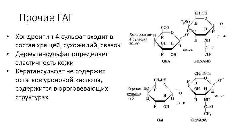 Прочие ГАГ • Хондроитин-4 -сульфат входит в состав хрящей, сухожилий, связок • Дерматансульфат определяет