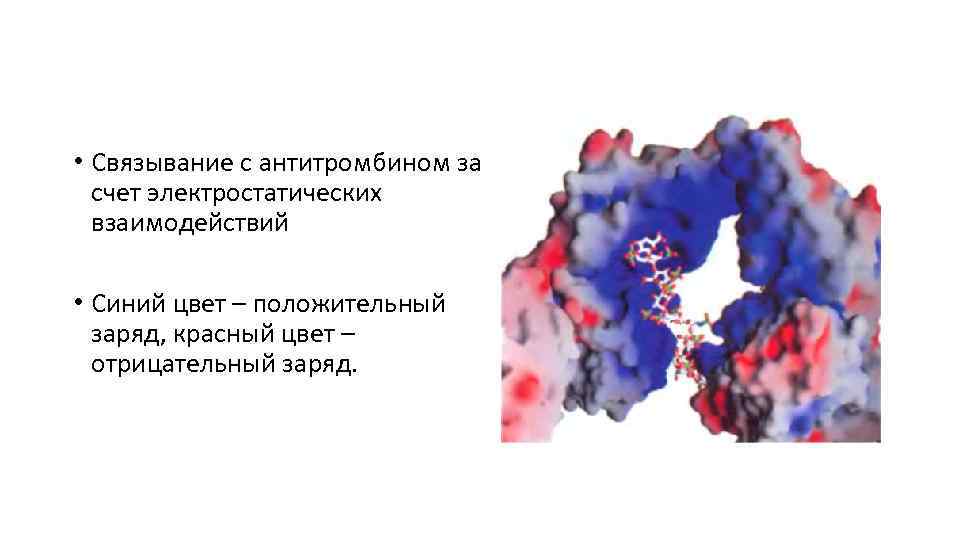  • Связывание с антитромбином за счет электростатических взаимодействий • Синий цвет – положительный