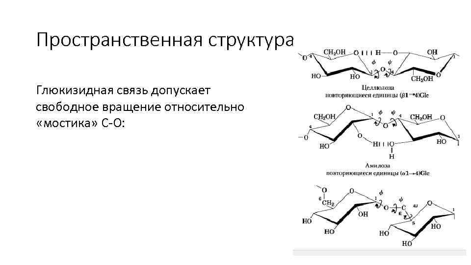 Пространственная структура Глюкизидная связь допускает свободное вращение относительно «мостика» С-О: 