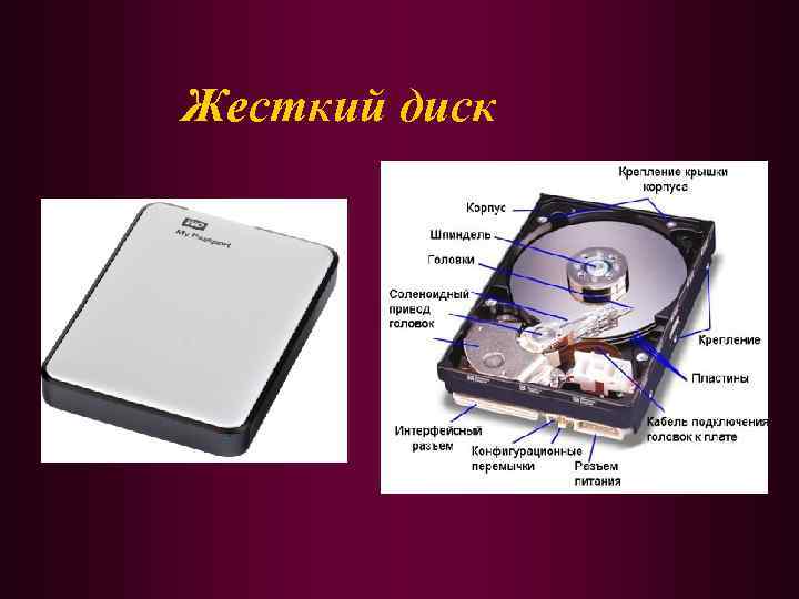 Жесткий диск 