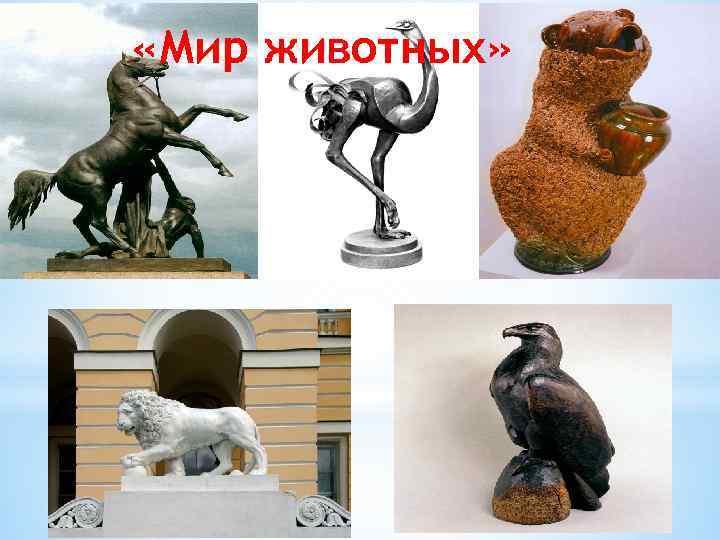  «Мир животных» 