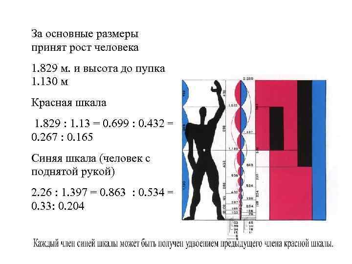 За основные размеры принят рост человека 1. 829 м. и высота до пупка 1.