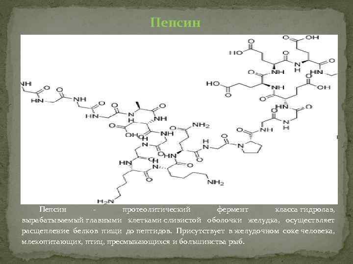 Фермент класса гидролаз. Пепсин формула химическая. Пепсин формула структура. Формула пепсина в химии. Химическое строение пепсина.