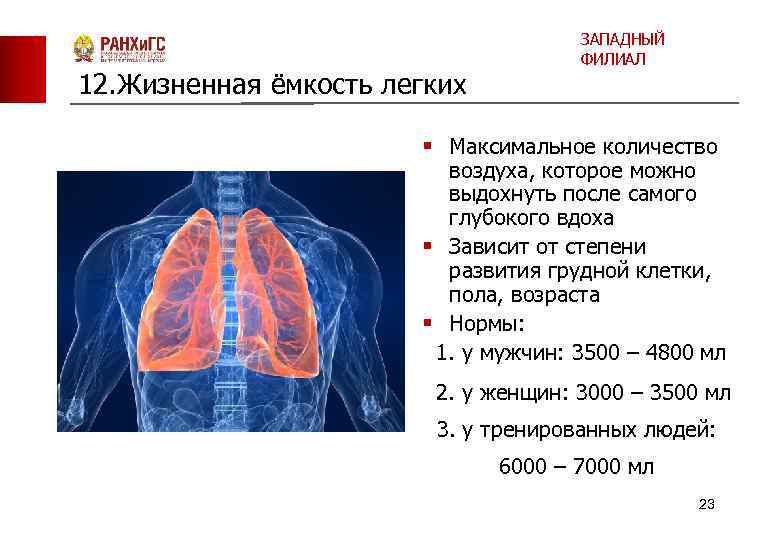 Жизненная емкость воздуха легких. Максимальное количество воздуха выдыхаемое после самого глубокого. Жизненная ёмкость лёгких это количество воздуха. Жизненная ёмкость лёгких у животных. Жизненной емкостью легких называется.