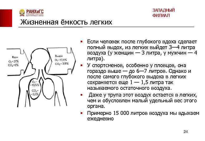 Жизненная ёмкость легких ЗАПАДНЫЙ ФИЛИАЛ § Если человек после глубокого вдоха сделает полный выдох,