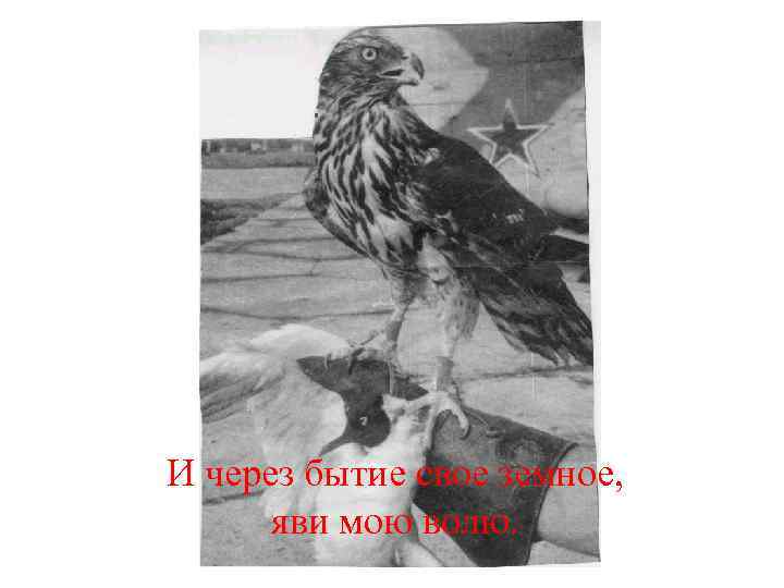 И через бытие свое земное, яви мою волю. 