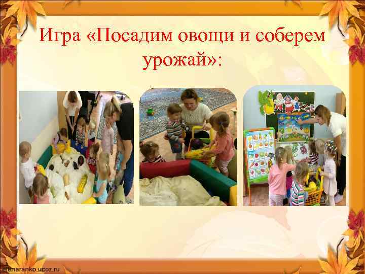 Игра «Посадим овощи и соберем урожай» : 