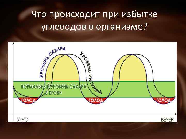 Что происходит при избытке углеводов в организме? 