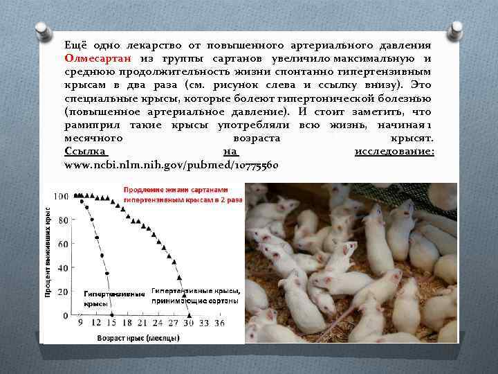 Ещё одно лекарство от повышенного артериального давления Олмесартан из группы сартанов увеличило максимальную и
