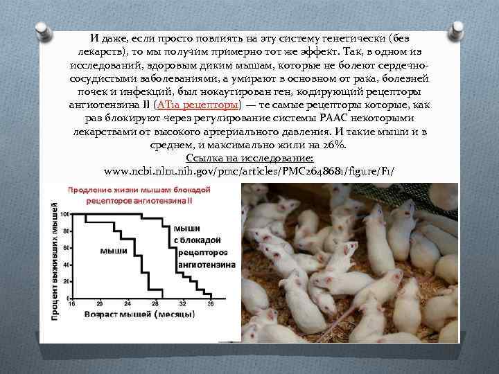 И даже, если просто повлиять на эту систему генетически (без лекарств), то мы получим