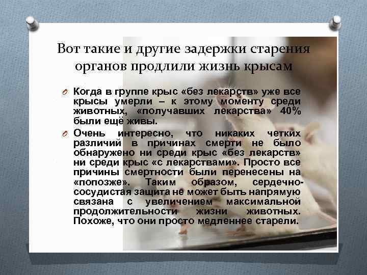 Вот такие и другие задержки старения органов продлили жизнь крысам O Когда в группе