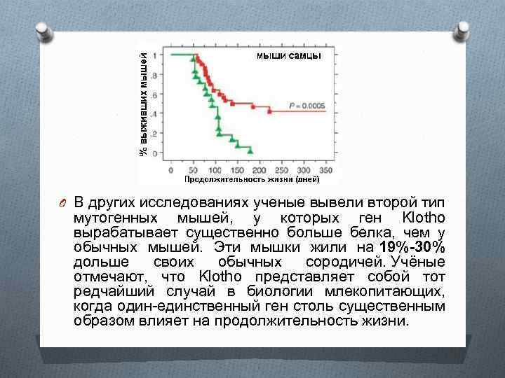 O В других исследованиях ученые вывели второй тип мутогенных мышей, у которых ген Klotho
