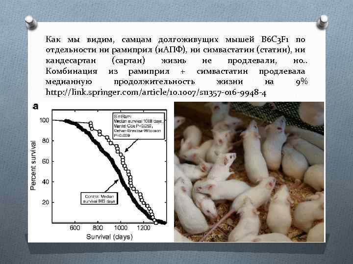 Как мы видим, самцам долгоживущих мышей B 6 C 3 F 1 по отдельности