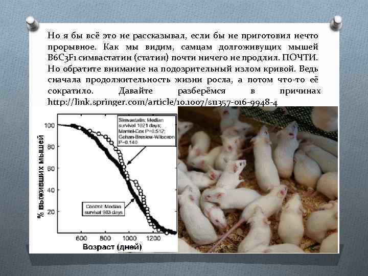 Но я бы всё это не рассказывал, если бы не приготовил нечто прорывное. Как