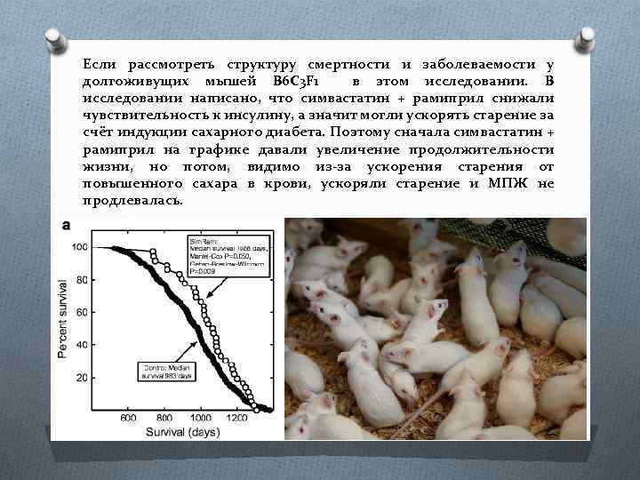 Если рассмотреть структуру смертности и заболеваемости у долгоживущих мышей B 6 C 3 F