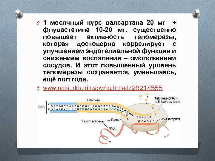 O 1 месячный курс валсартана 20 мг + флувастатина 10 -20 мг. существенно повышает