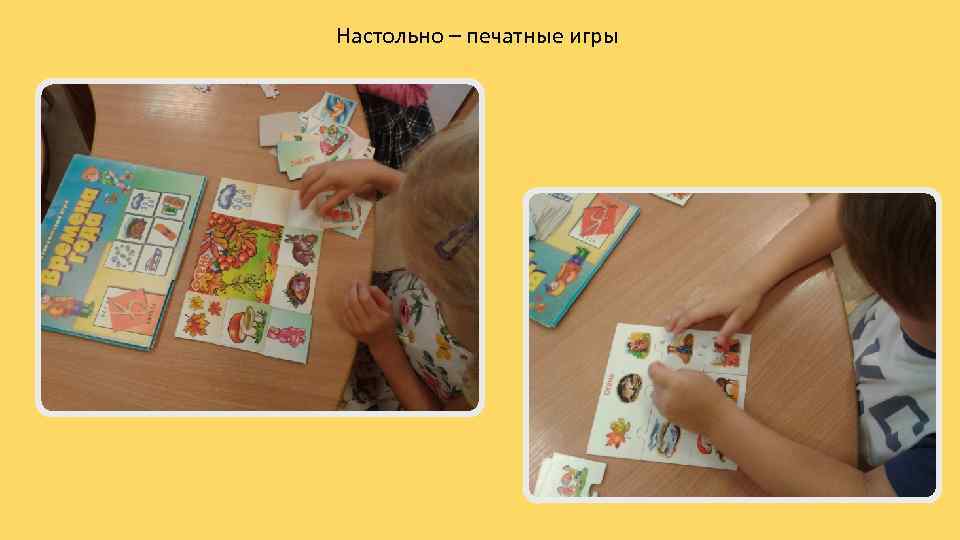 Настольно – печатные игры 