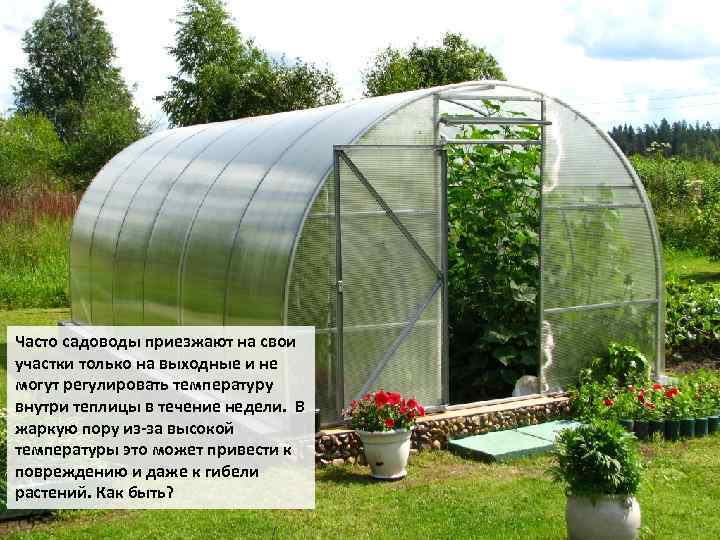 Часто садоводы приезжают на свои участки только на выходные и не могут регулировать температуру