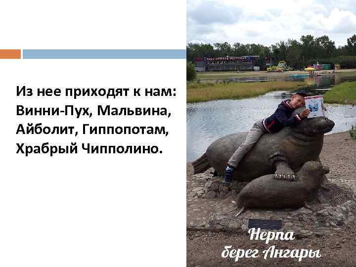 Из нее приходят к нам: Винни-Пух, Мальвина, Айболит, Гиппопотам, Храбрый Чипполино. 