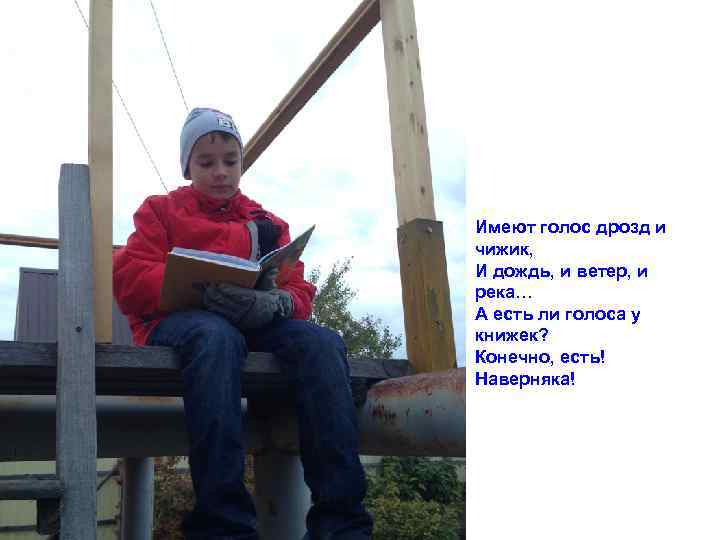 Имеют голос дрозд и чижик, И дождь, и ветер, и река… А есть ли