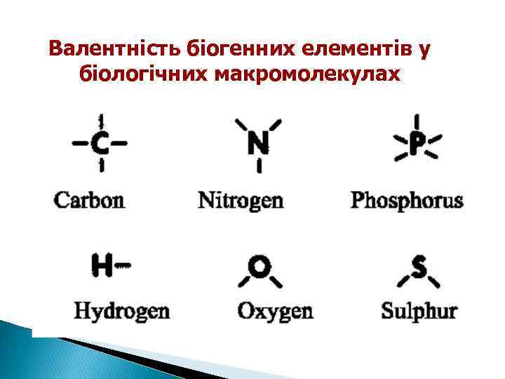 Валентність біогенних елементів у біологічних макромолекулах 