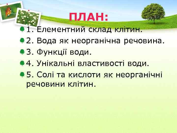 ПЛАН: 1. Елементний склад клітин. 2. Вода як неорганічна речовина. 3. Функції води. 4.