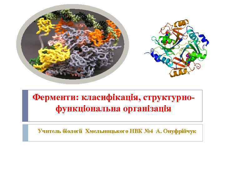 Ферменти: класифікація, структурнофункціональна організація Учитель біології Хмельницького НВК № 4 А. Онуфрійчук 