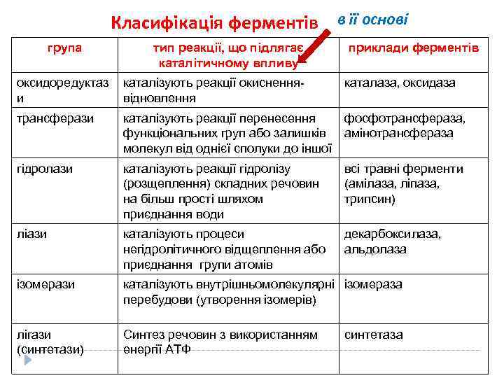 Класифікація ферментів в її основі група тип реакції, що підлягає каталітичному впливу приклади ферментів