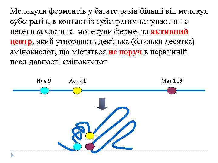 Молекули ферментів у багато разів більші від молекул субстратів, в контакт із субстратом вступає