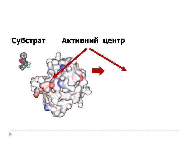 Субстрат Активний центр 