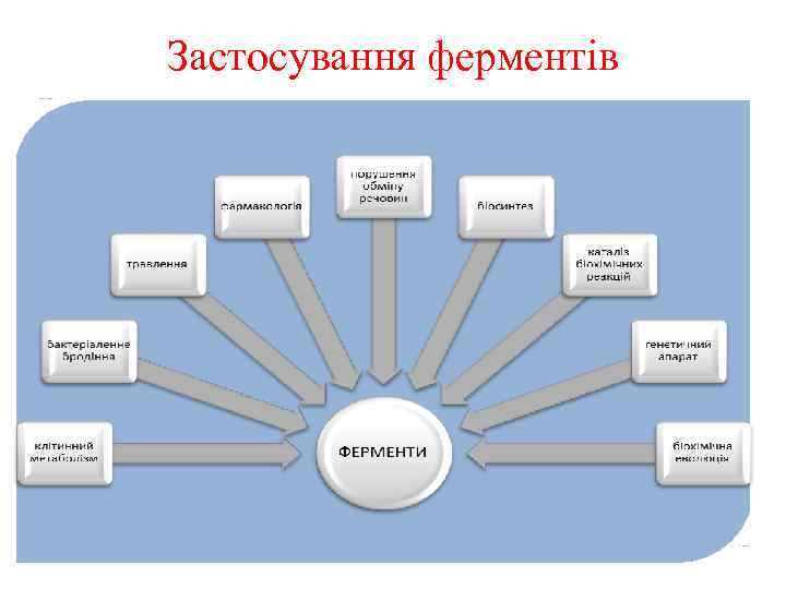 Застосування ферментів 