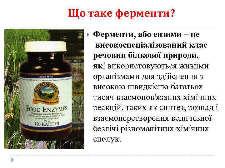 Що таке ферменти? Ферменти, або ензими – це високоспеціалізований клас речовин білкової природи, які