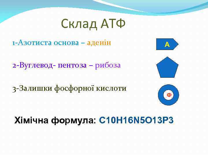 Склад АТФ 1 -Азотиста основа – аденін 2 -Вуглевод- пентоза – рибоза 3 -Залишки