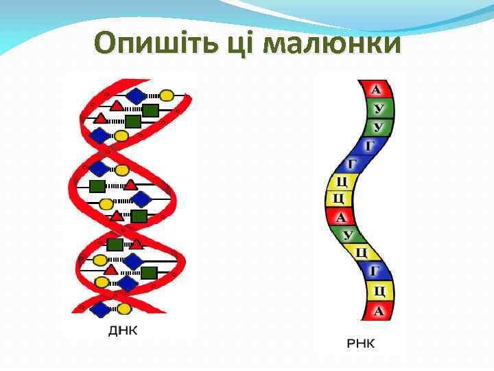 Опишіть ці малюнки 
