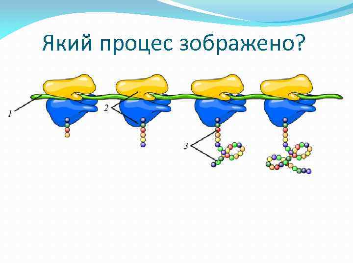 Який процес зображено? 