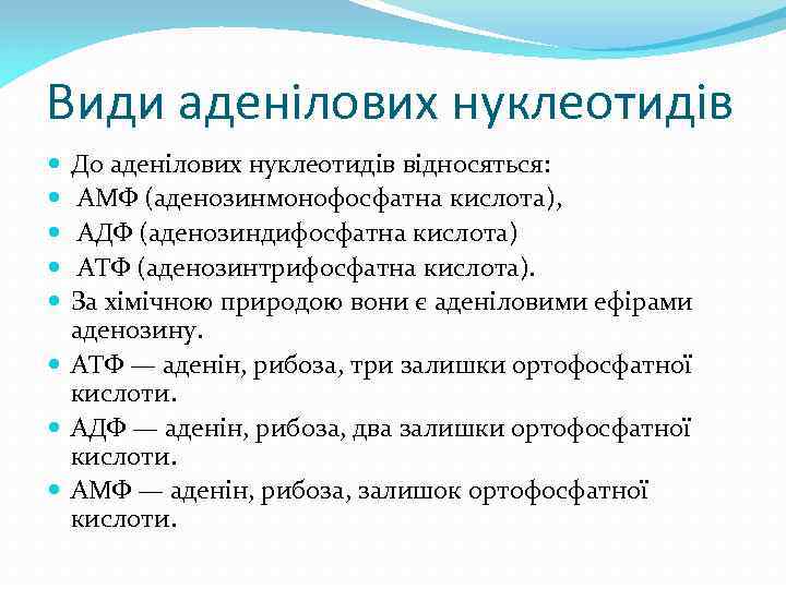 Види аденілових нуклеотидів До аденілових нуклеотидів відносяться: АМФ (аденозинмонофосфатна кислота), АДФ (аденозиндифосфатна кислота) АТФ