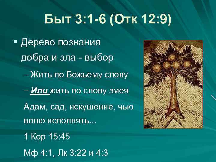 Быт 3: 1 -6 (Отк 12: 9) § Дерево познания добра и зла -